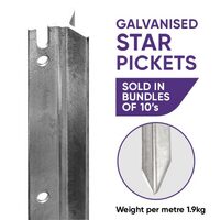 Star Picket Galvanised