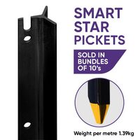 Star Picket Smart